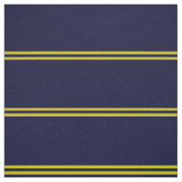 Diseño de rayas azules y doradas