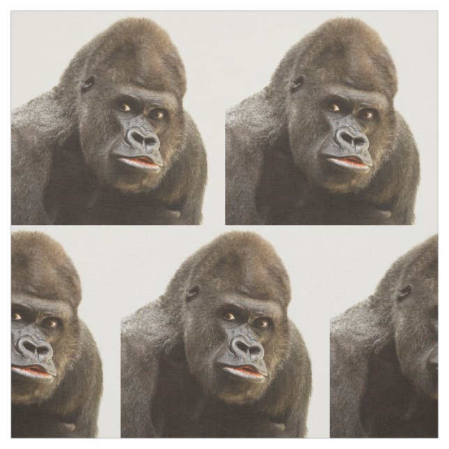 Tela divertida del gorila (Retal)