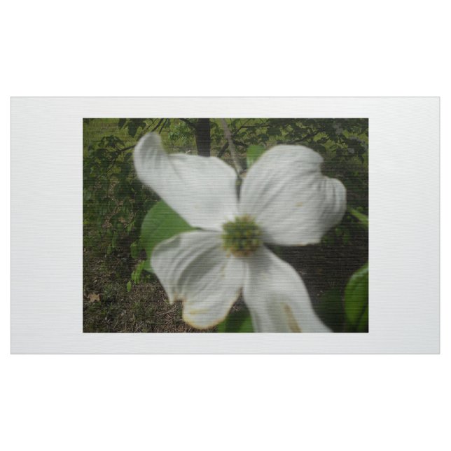 Tela Dogwood en primavera (Yarda)