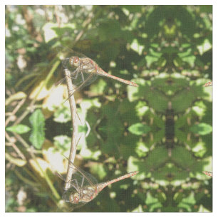 Tela Dragonfly sobre un tejido de naves de corral para 