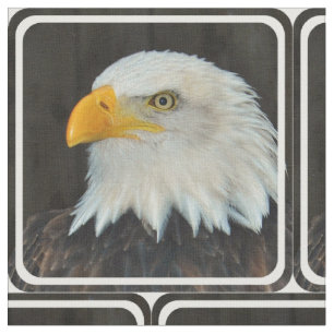 Tela Eagle