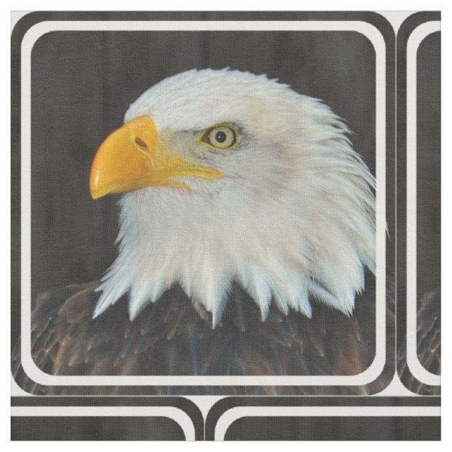 Tela Eagle (De cerca)