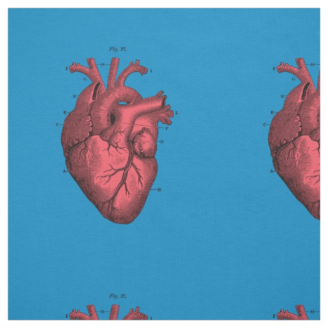 Tela El día de San Valentín anatómico del corazón del (Retal)