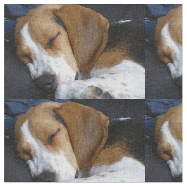 Tela el dormir del beagle (De cerca)