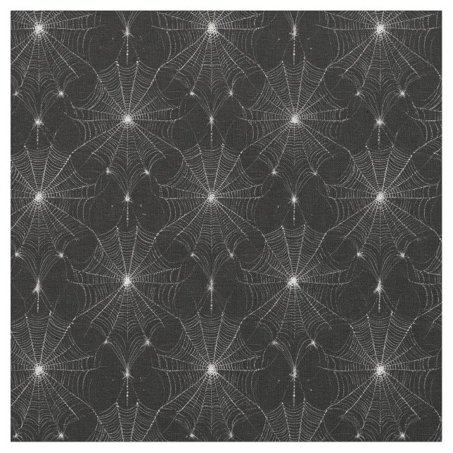 Tela El encaje de Spiderweb de plata en negro (De cerca)