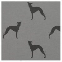 El galgo italiano siluetea el modelo