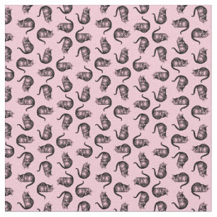 Tela El gato de Cheshire de Alicia en el PERSONALIZADO 