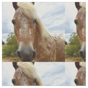Tela "El hurto del azúcar: la gracia de los Appaloosa"