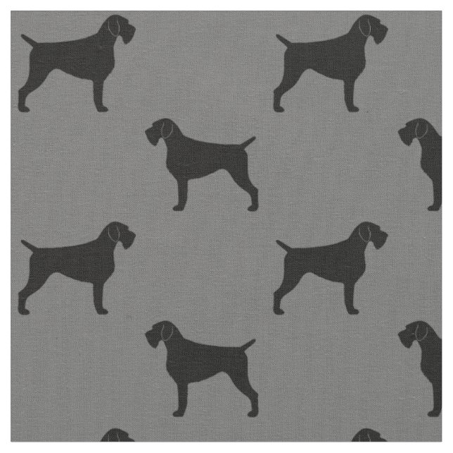 Tela El indicador Wirehaired alemán siluetea el modelo (De cerca)