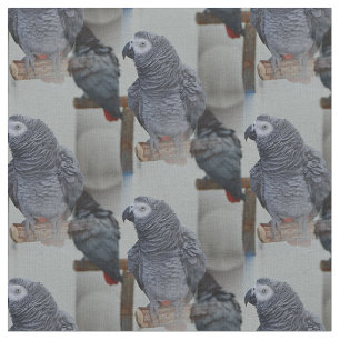 Tela El loro gris del Congo en espejo