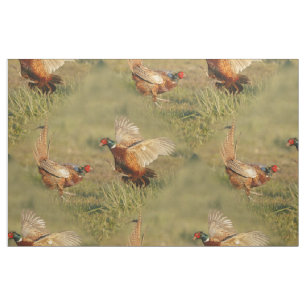 Tela El luchar masculino de dos faisanes del