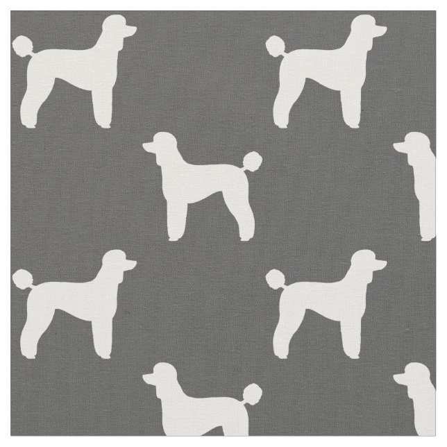 Tela El perro de caniche estándar siluetea el modelo (De cerca)