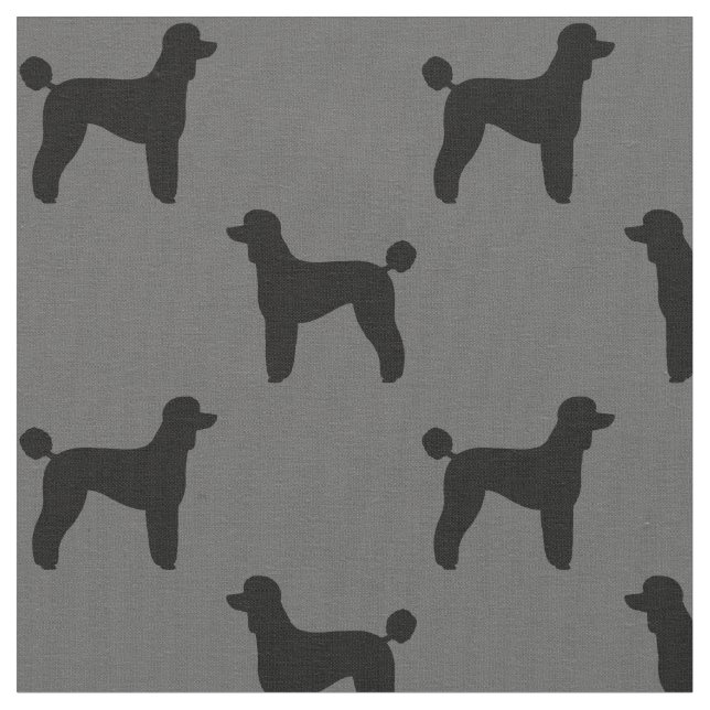 Tela El perro de caniche estándar siluetea el modelo (De cerca)