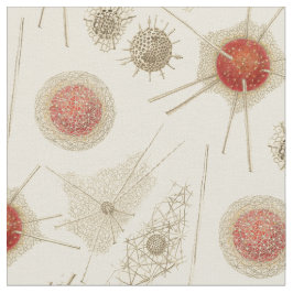 Tela El Radiolarian de Ernst Haeckel