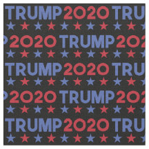 Elecciones 2020 del presidente Donald Trump