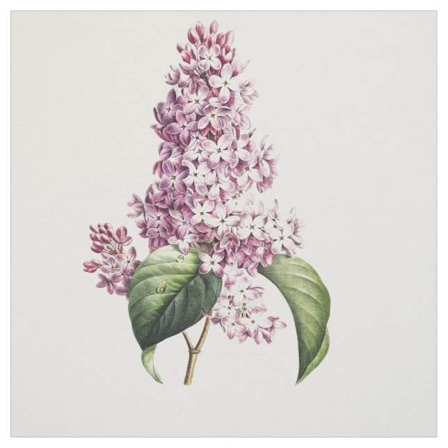 Tela Elegante Blossom Botánico Púrpura Vintage (Retal)