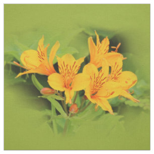 Tela Elegante lirio de los Incas / Alstroemeria amarill