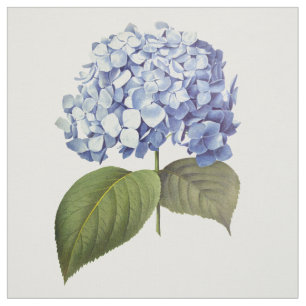 Tela Elegante Vintage Blue Hydrangea Flor