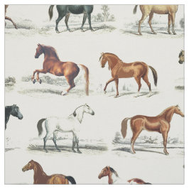 Tela Elegantes razas de caballos de época