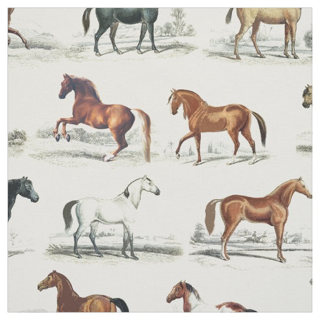 Tela Elegantes razas de caballos de época (Retal)