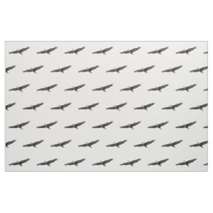 Tela Elevación de Eagle calvo