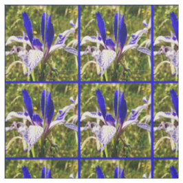 Tela Elkhorn Mountain Iris