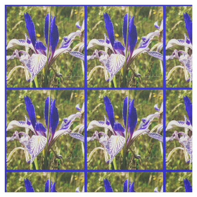 Tela Elkhorn Mountain Iris (Retal)