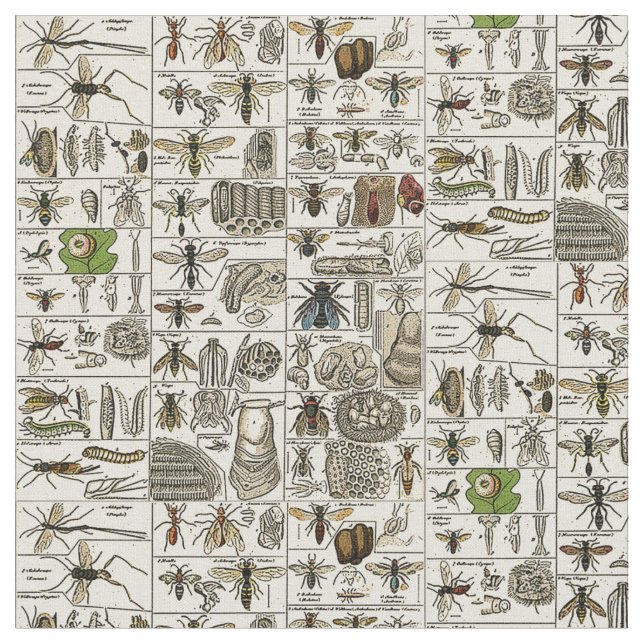 Tela Entomología del vintage (De cerca)