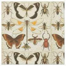 Entomología Mariposa Insectos Papel Viejo