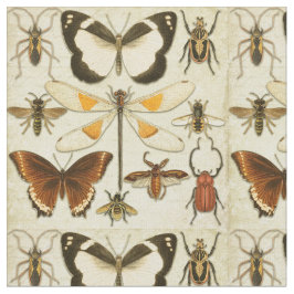 Tela Entomología Mariposa Insectos Papel Viejo