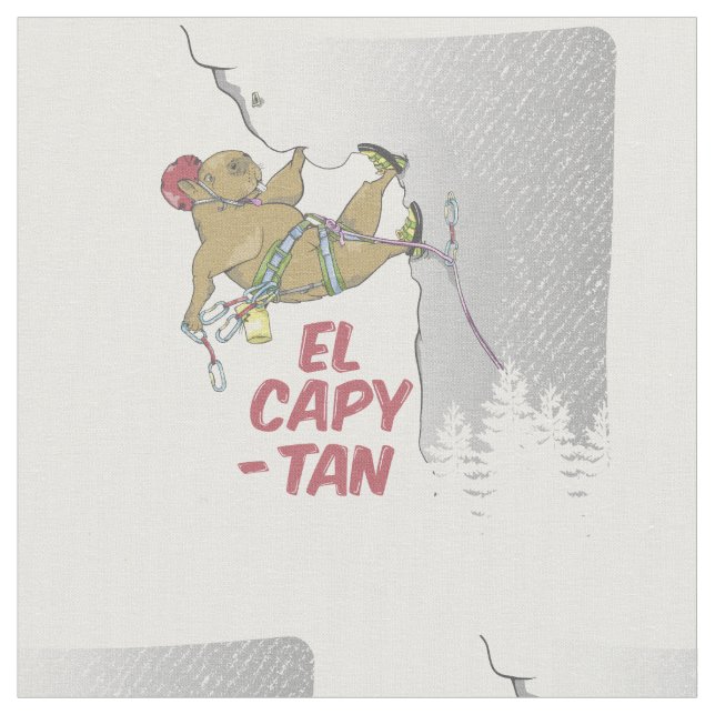 Tela Escalada en roca Capibara EP CAPITAIN (De cerca)