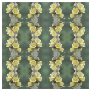 Tela Escarabajo En Flor De Mullein Silvestre