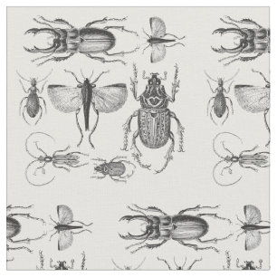 Tela Escarabajos e insectos