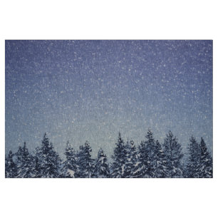 Tela Escena congelada del bosque del invierno de la