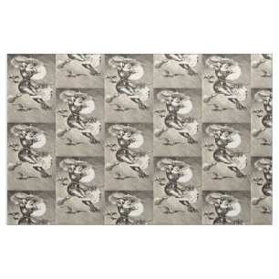 Tela Escoba Monocroma de bruja llena de luna