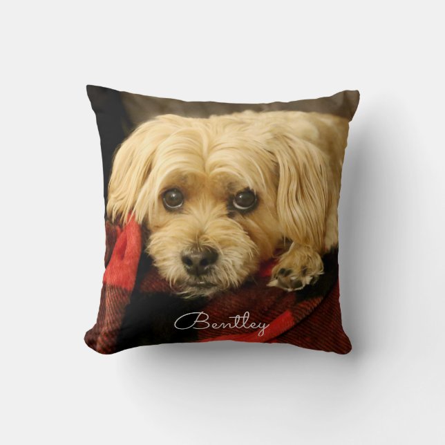 Tela escocesa verde llena de la almohada el | de (Anverso)