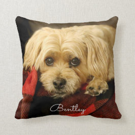 Tela escocesa verde llena de la almohada el | de