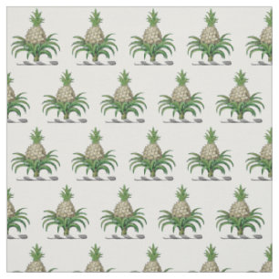 Tela Escudo de Armas Cresta Heraldica de Piña Preppy