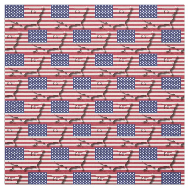 Tela Esquema del mapa de la bandera de EE.UU. (Retal)