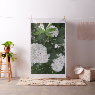 Tela Estrella del Laurel de la Montaña Blanca