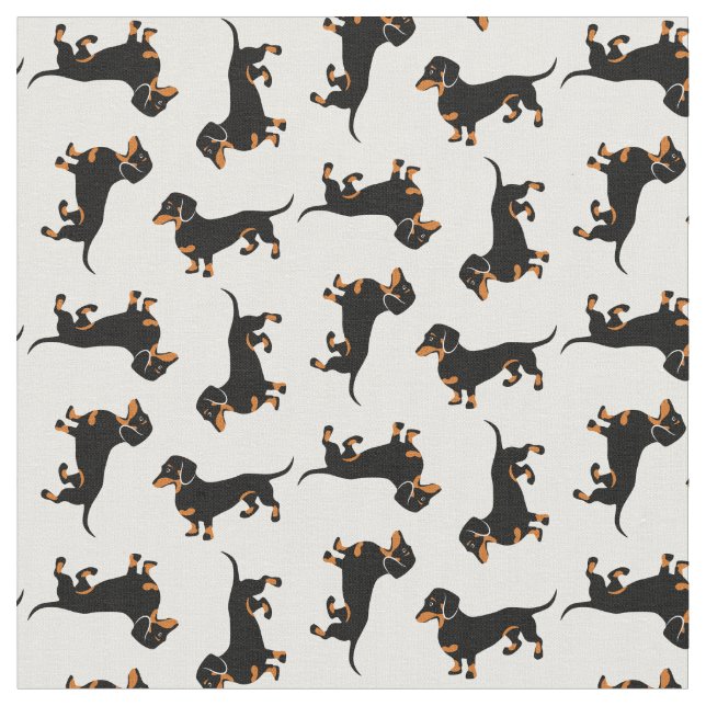 Tela Estrellazo de Dachshunds (De cerca)