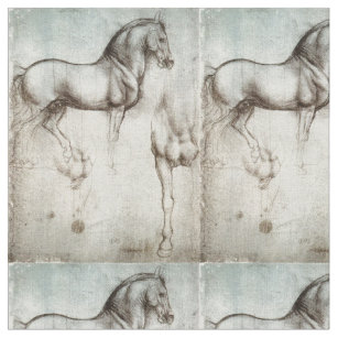 Tela Estudio de los caballos Leonardo da Vinci circa