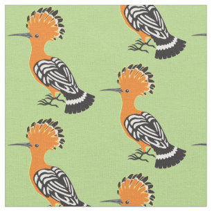 Tela Eurasian Hoopoe (Upupa epops)