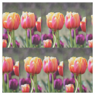 Tela Faln Tulips Aflame