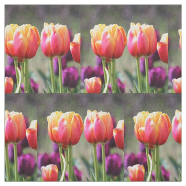 Tela Faln Tulips Aflame (Retal)
