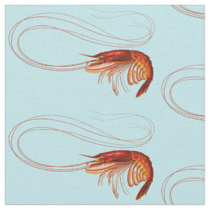 Tela Fancy Red Crayfish on Blue