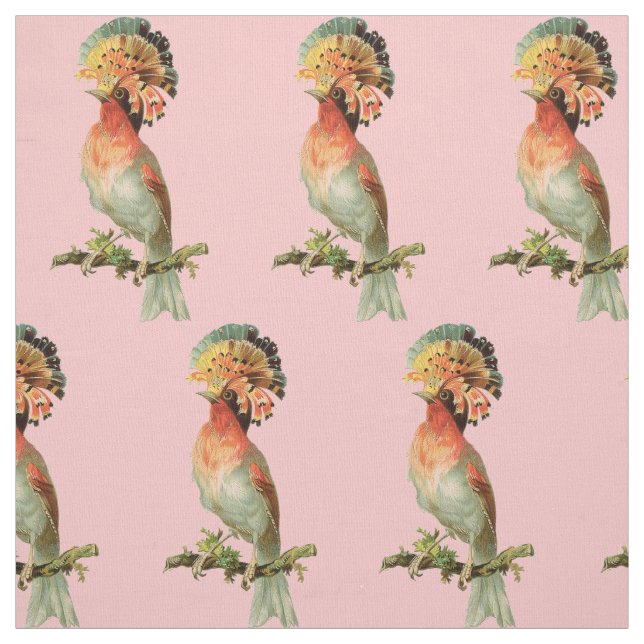 Tela Fancy Vintage Bird (Retal)
