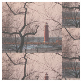 Tela Faro magnífico del asilo - Michigan