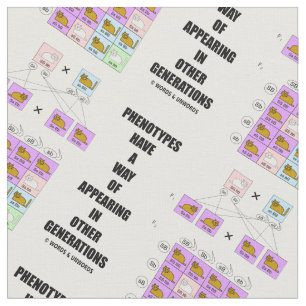 Tela Fenotipados Forma De Aparecer Generaciones Gatos