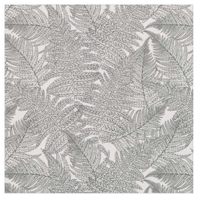 Tela Fern en blanco y negro (De cerca)
